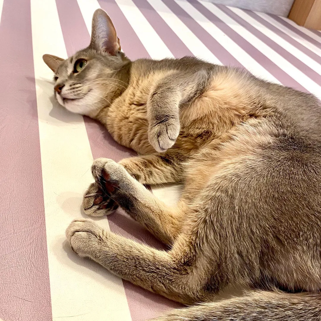 投稿の写真4