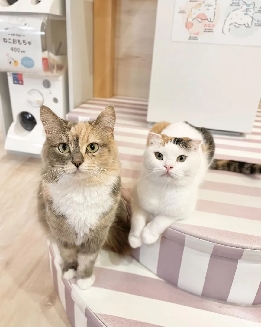 投稿の写真1