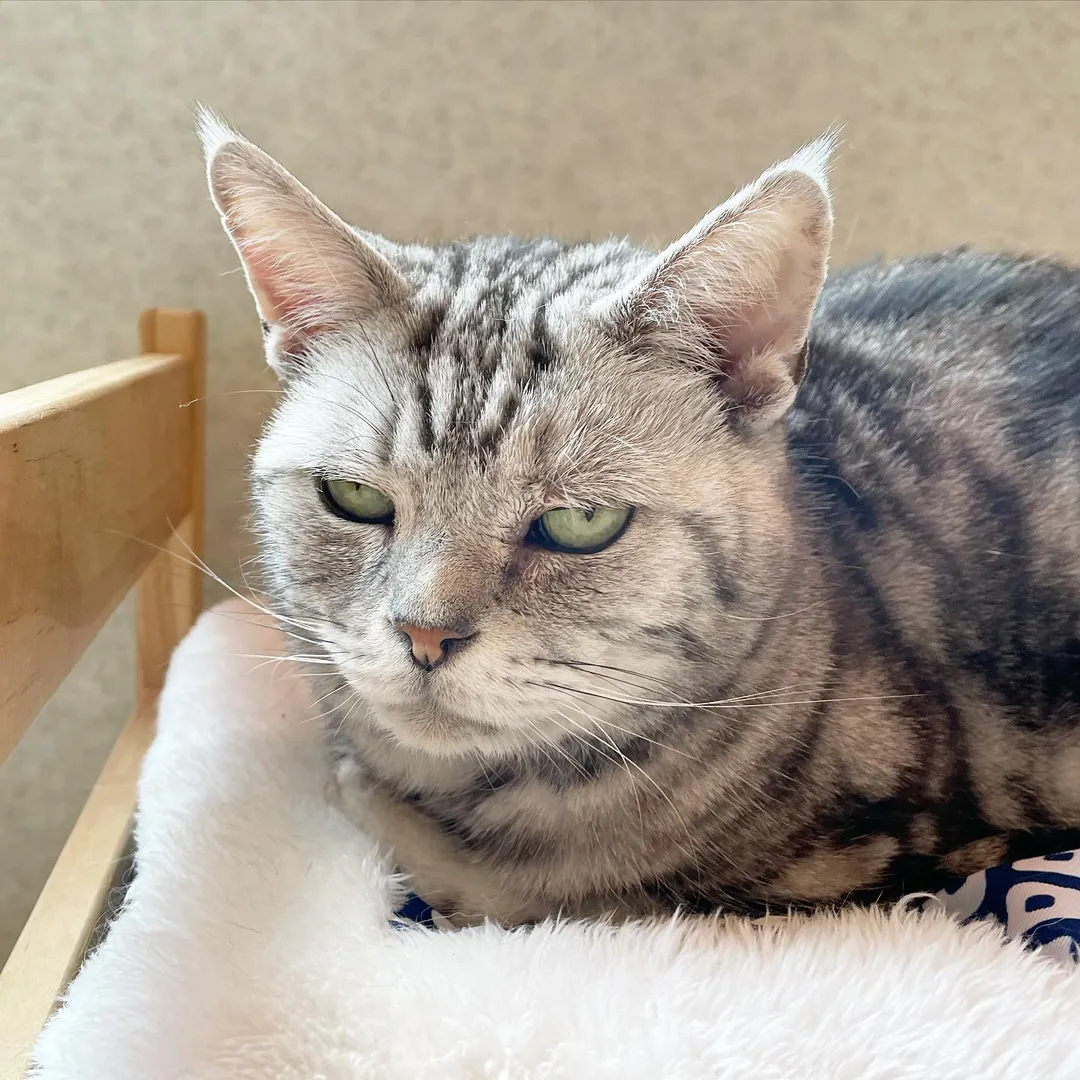 投稿の写真2