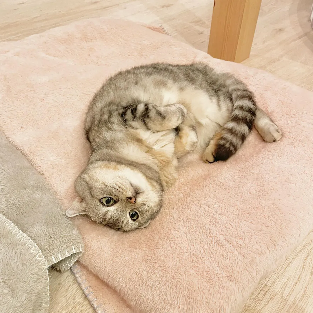 投稿の写真1
