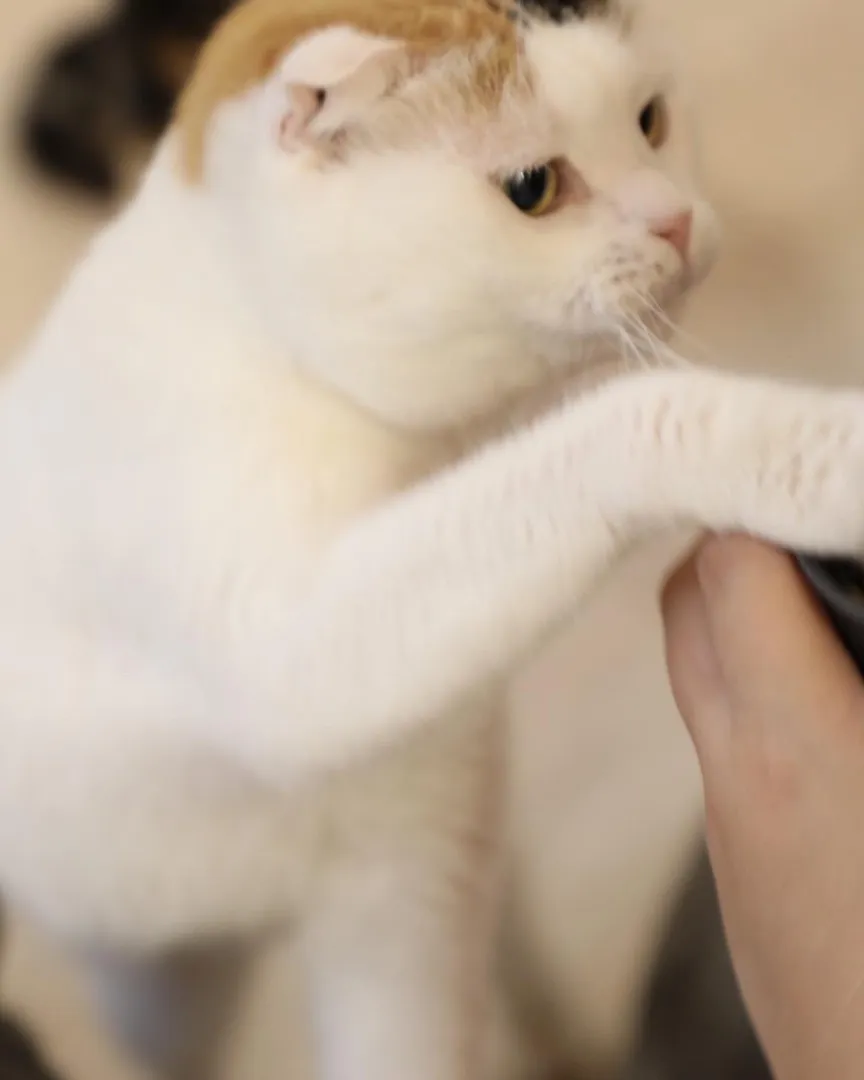 投稿の写真4