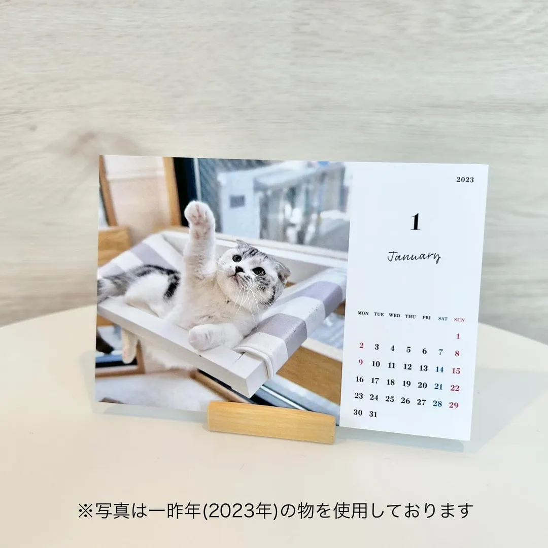 投稿の写真3