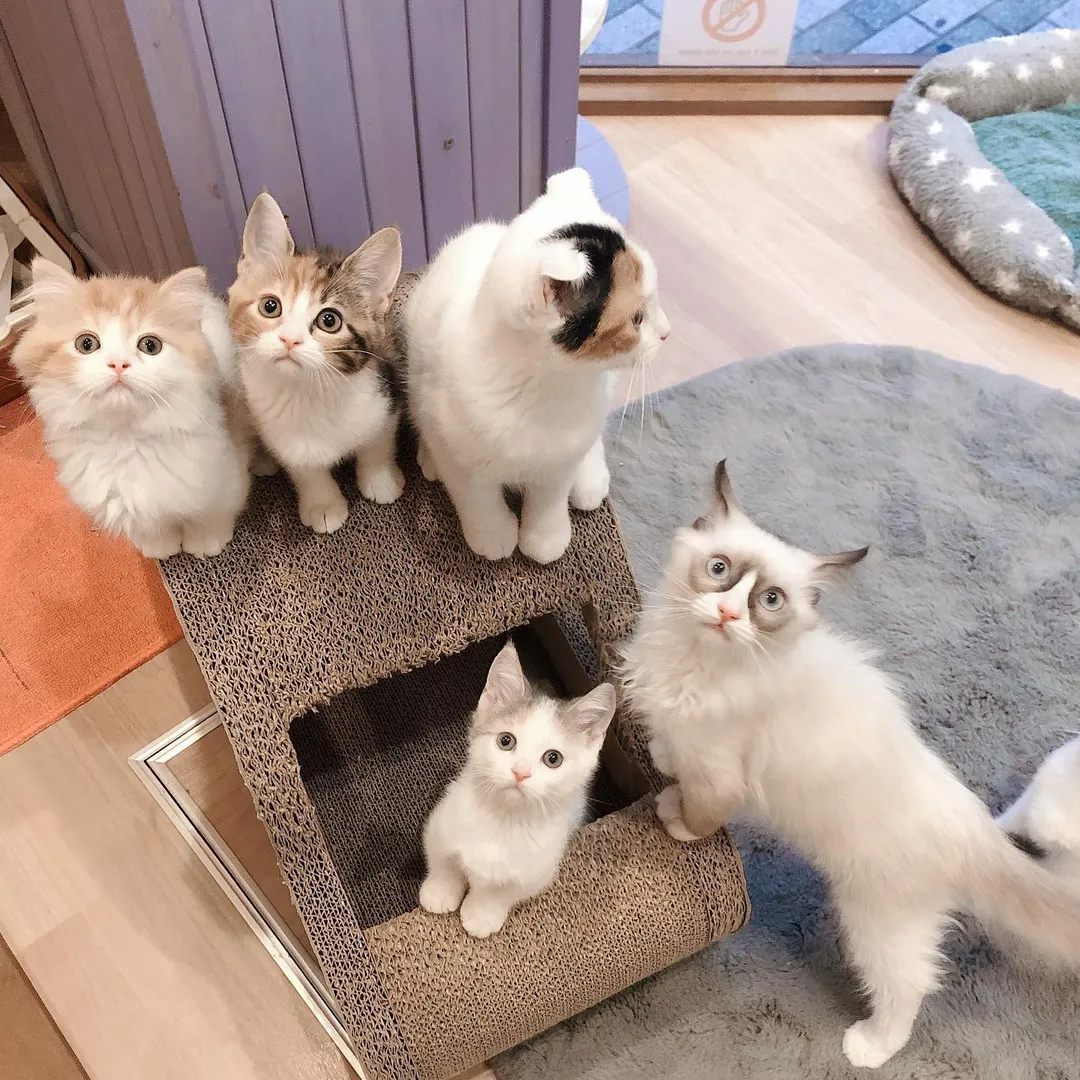 投稿の写真2