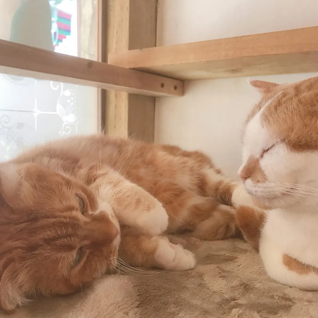 投稿の写真2