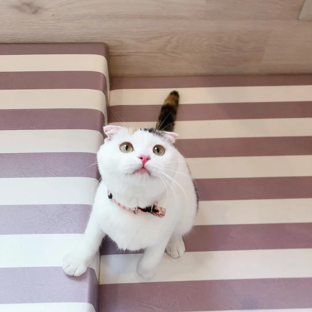 投稿の写真2