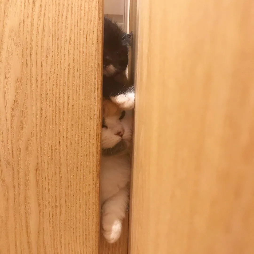 投稿の写真3