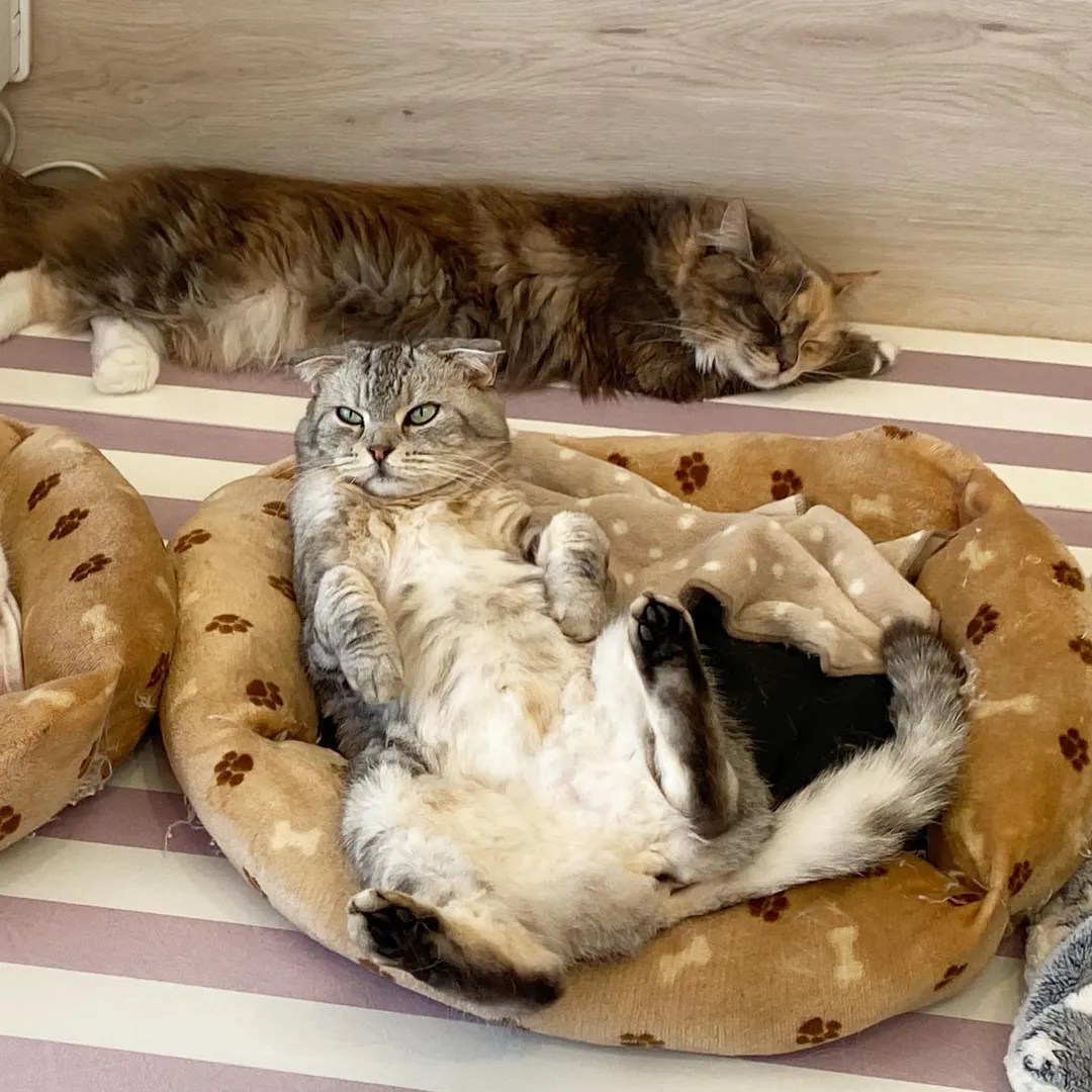 投稿の写真1