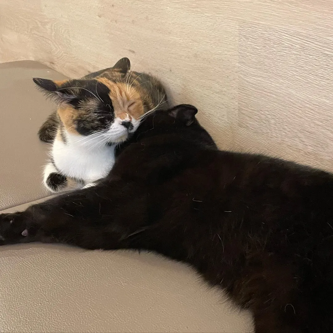 投稿の写真3