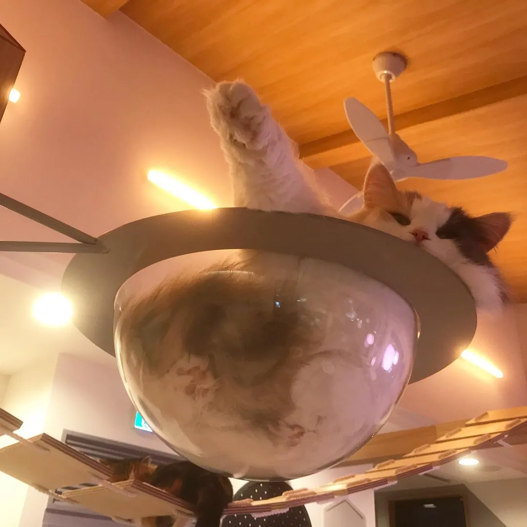 投稿の写真2