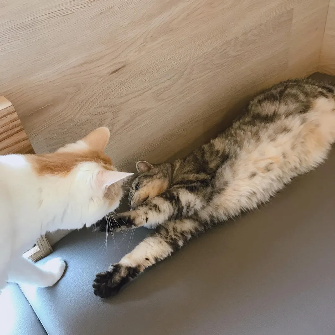投稿の写真3