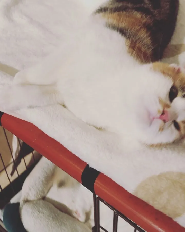 投稿の写真1
