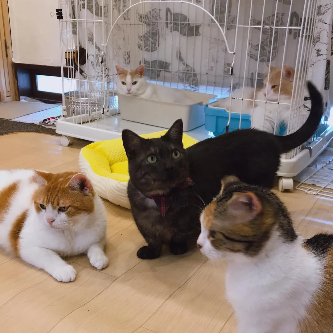 投稿の写真3
