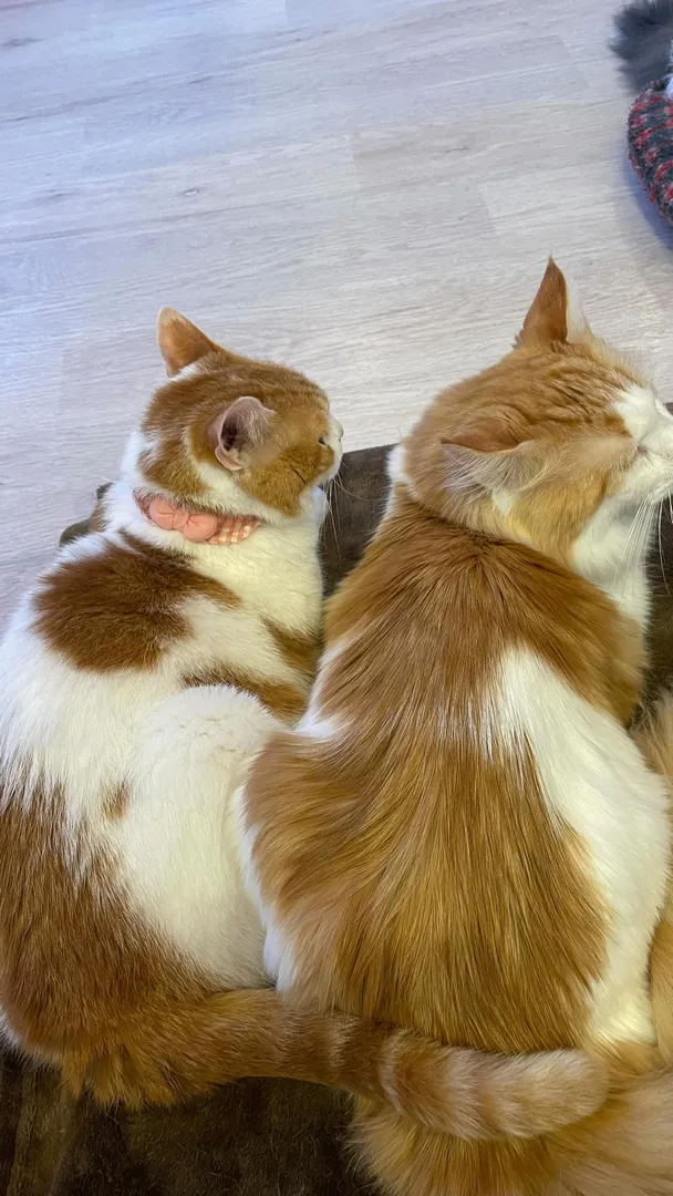 投稿の写真