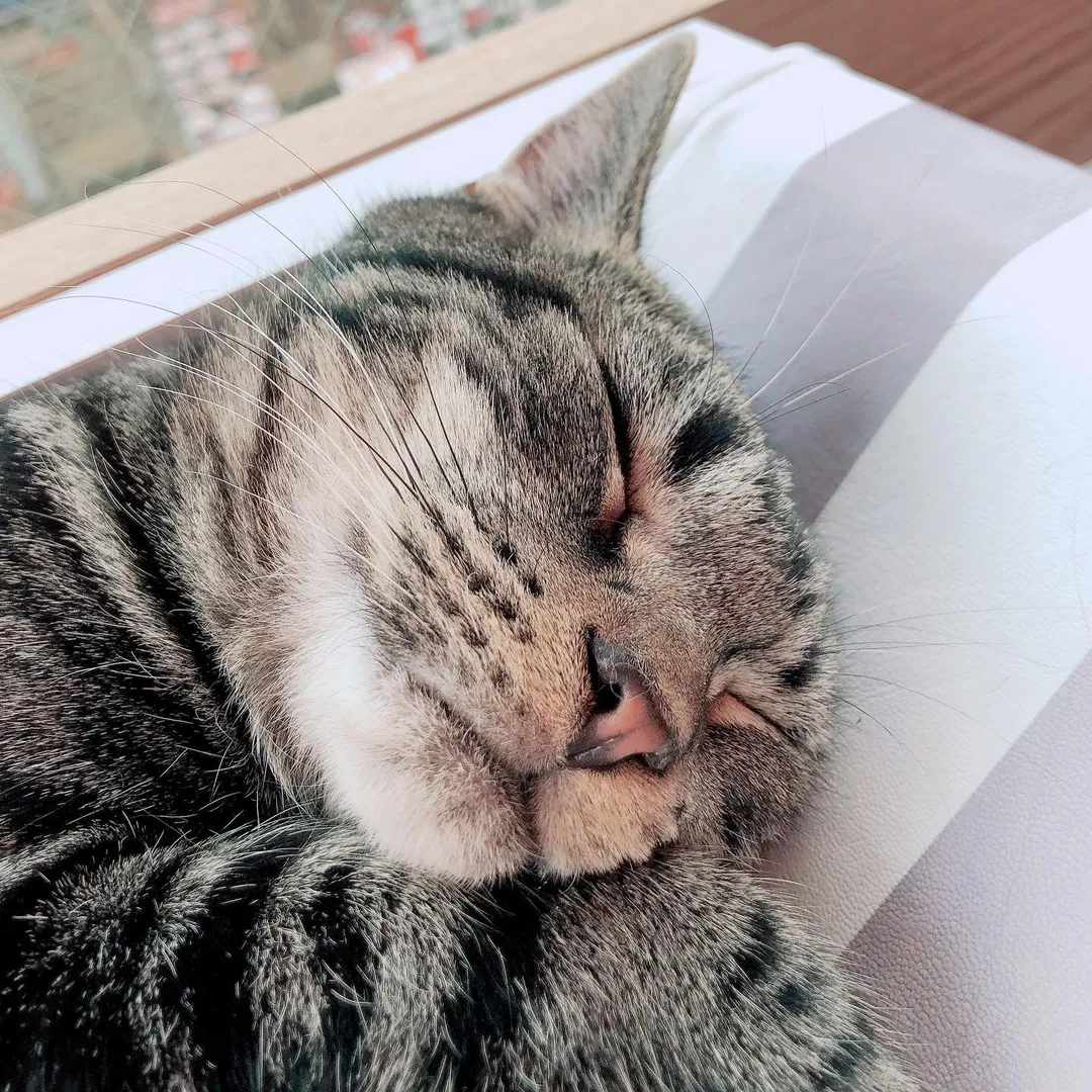 投稿の写真5