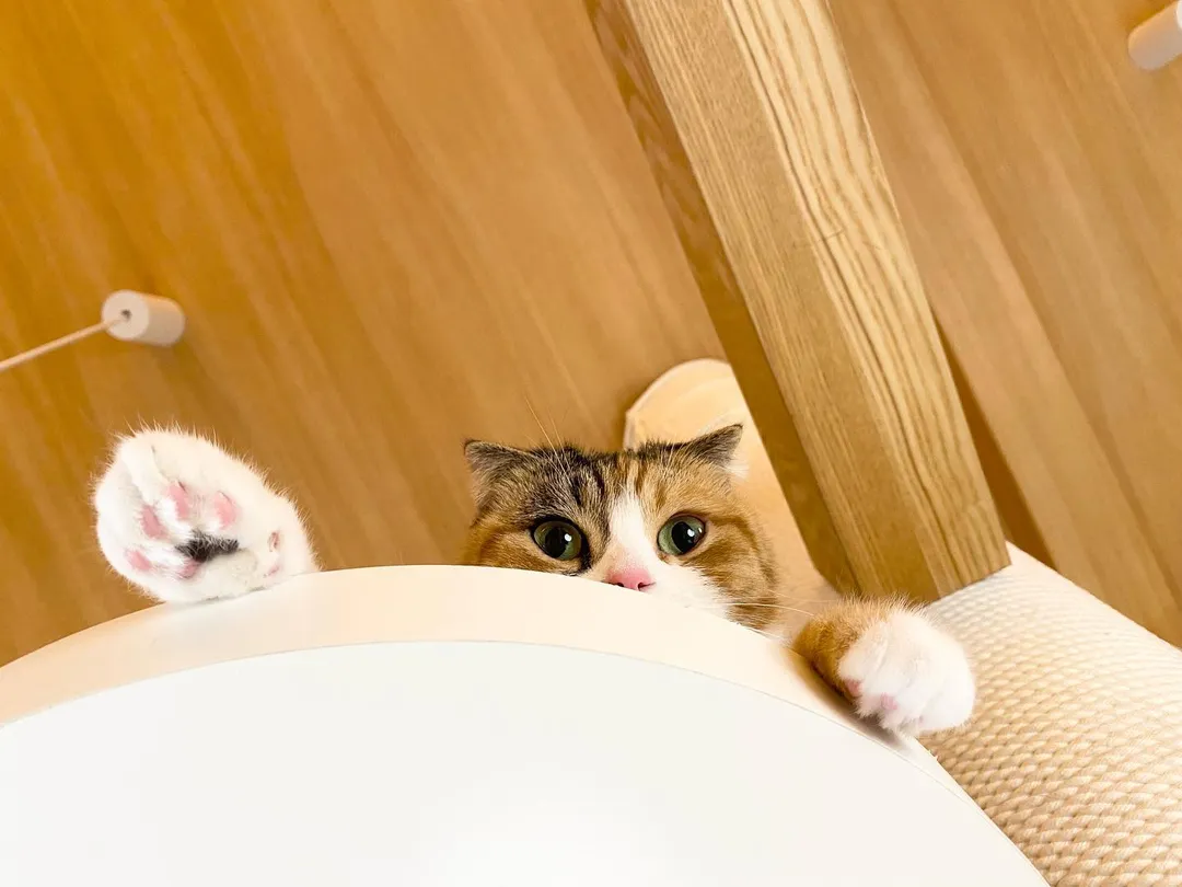 投稿の写真3