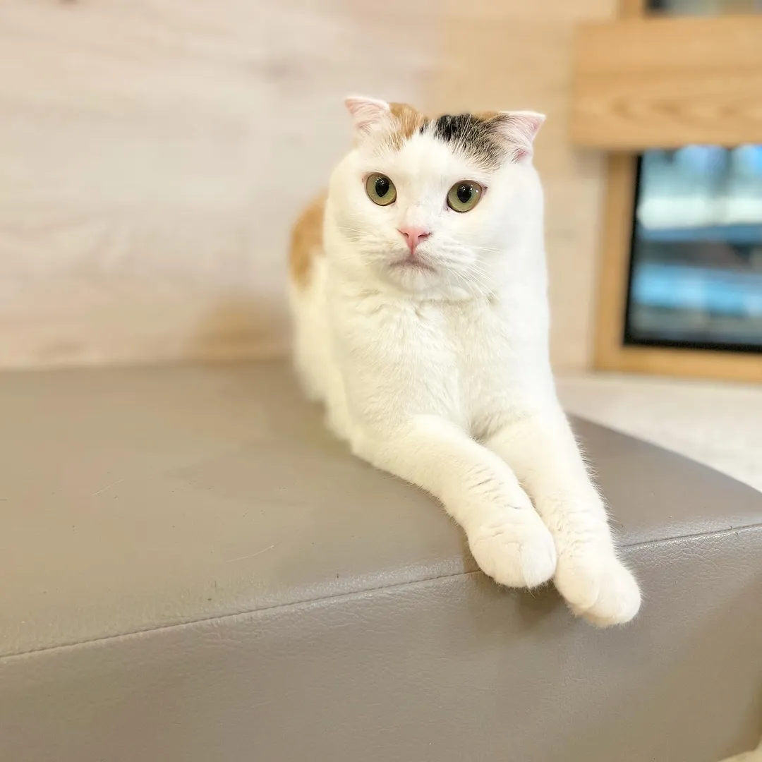 投稿の写真2