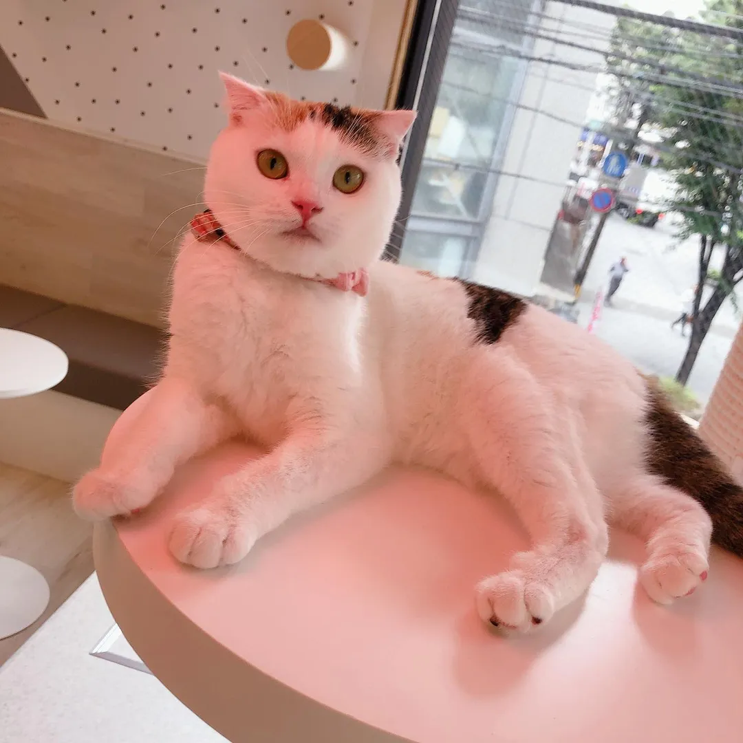 投稿の写真5
