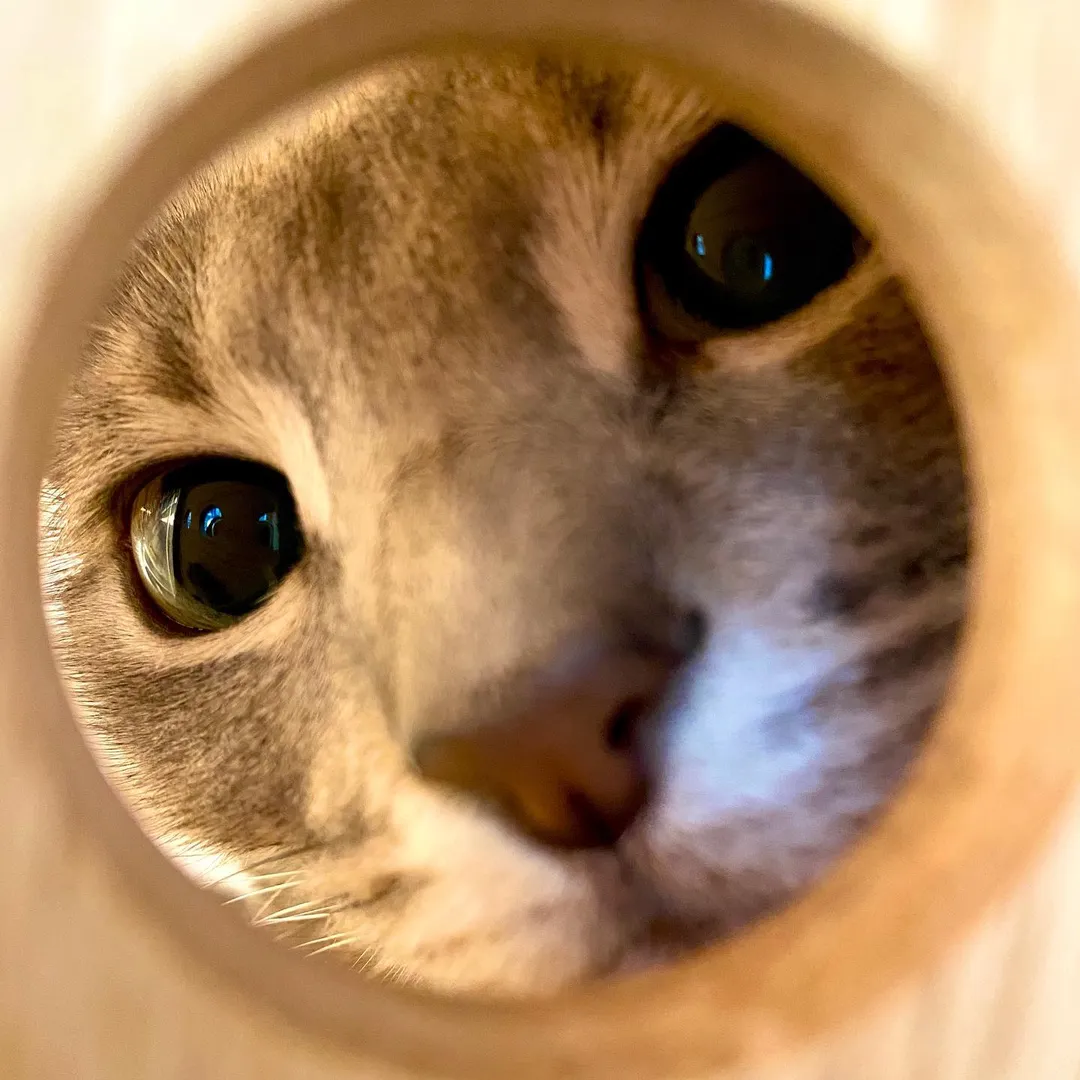 投稿の写真3