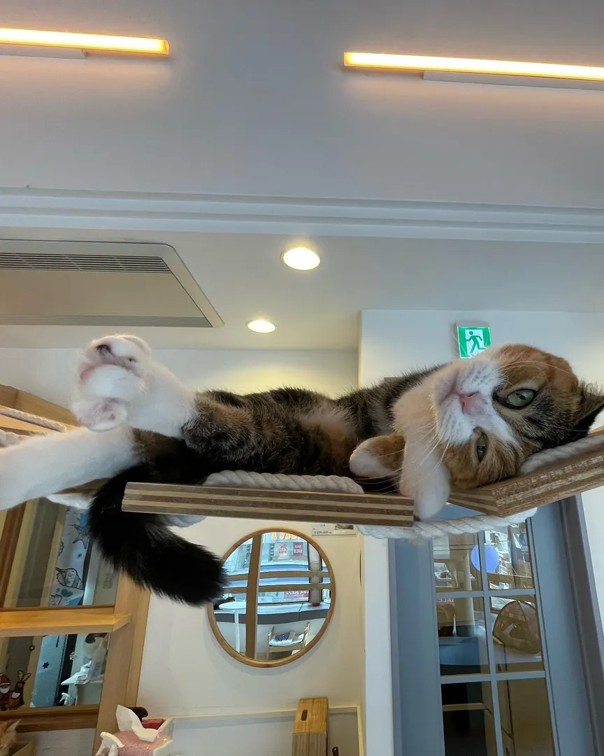 投稿の写真3