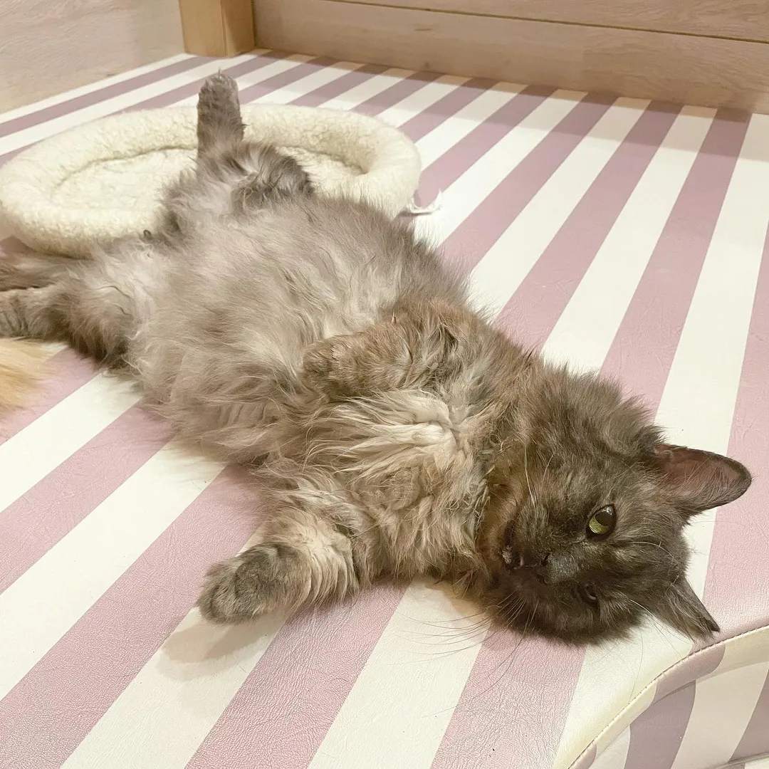 投稿の写真3
