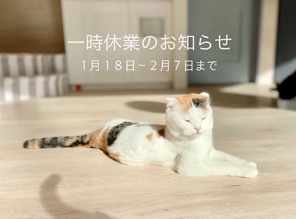 投稿の写真1