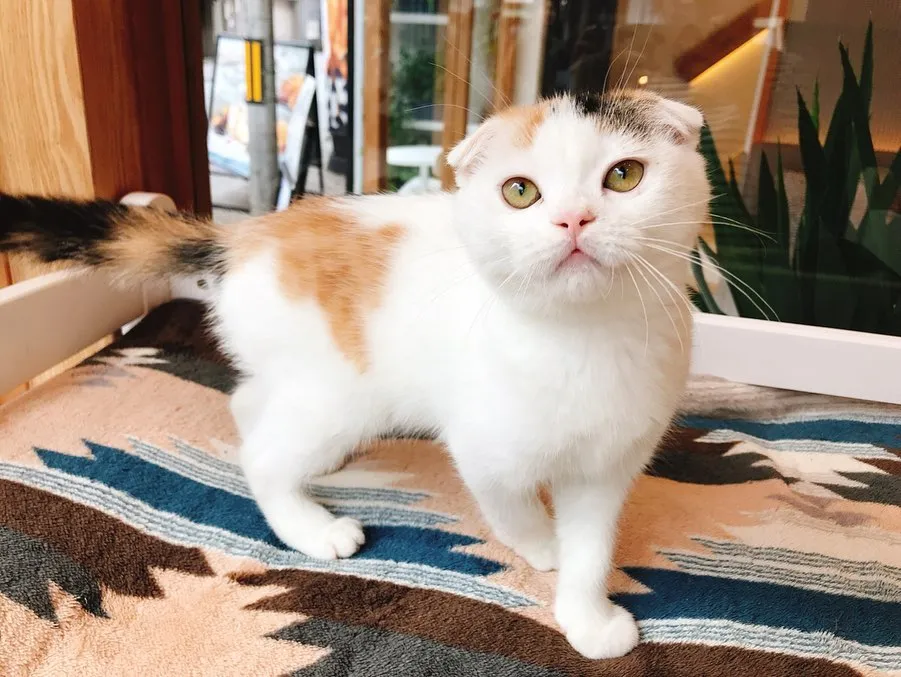 投稿の写真2