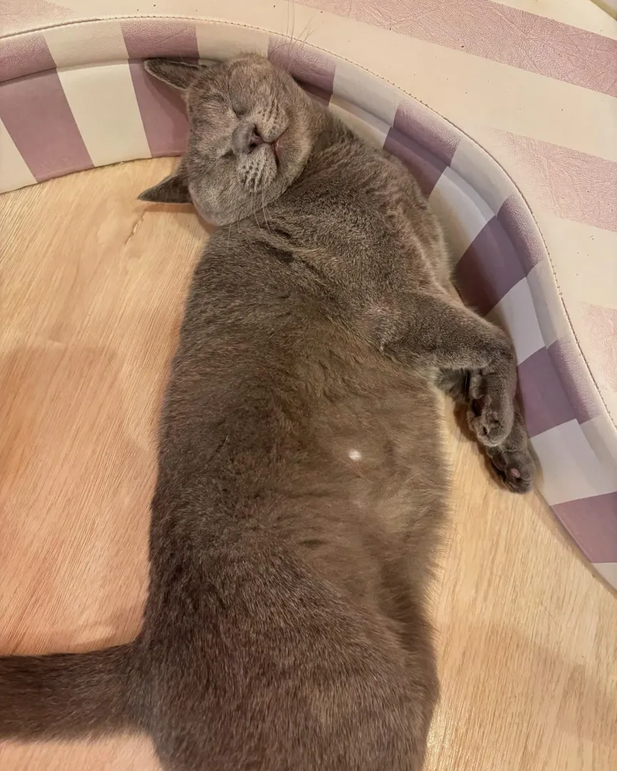 投稿の写真2