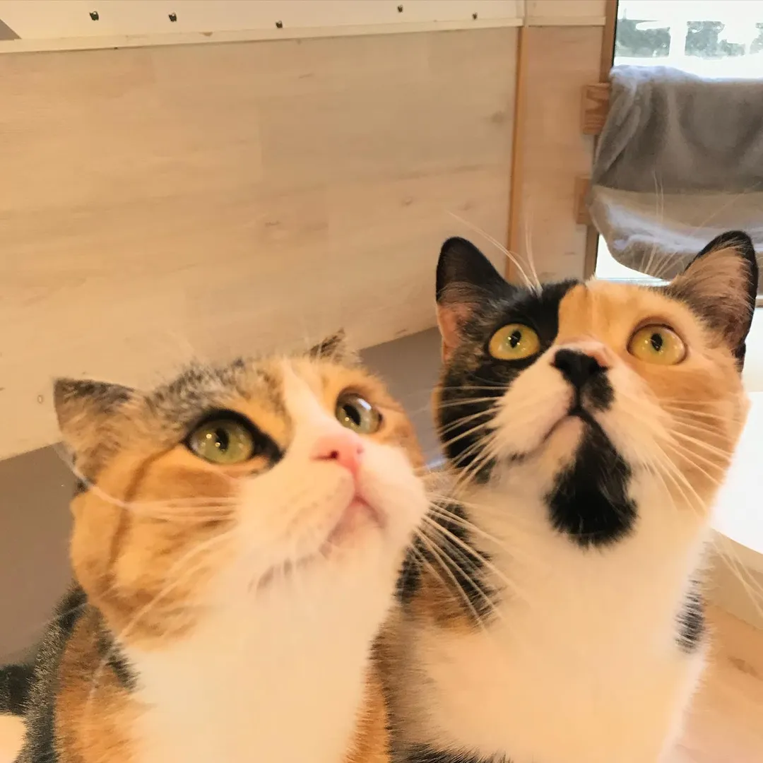 投稿の写真2