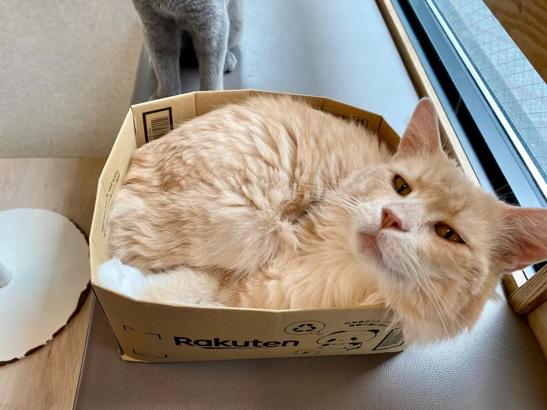 投稿の写真