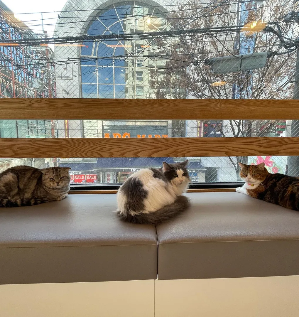 投稿の写真2