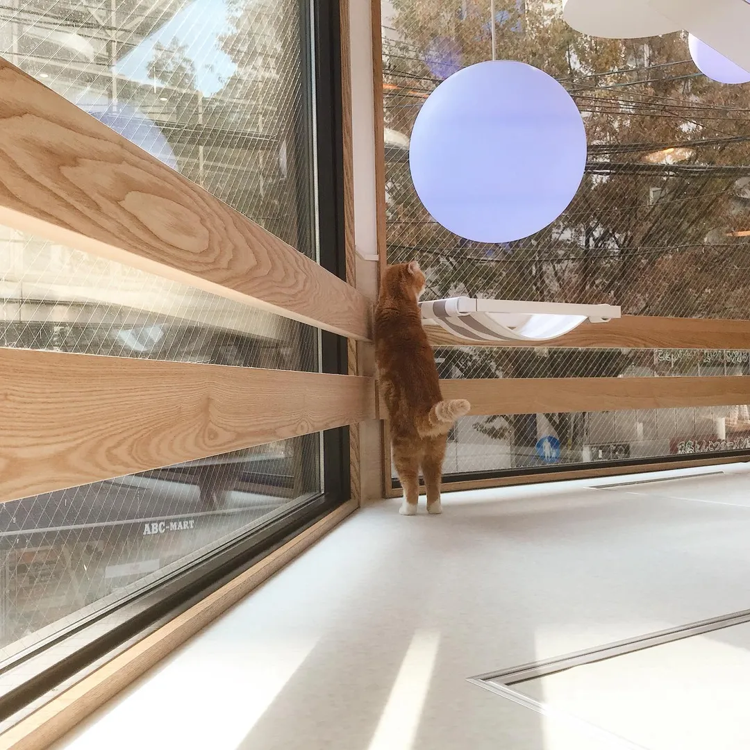 投稿の写真6