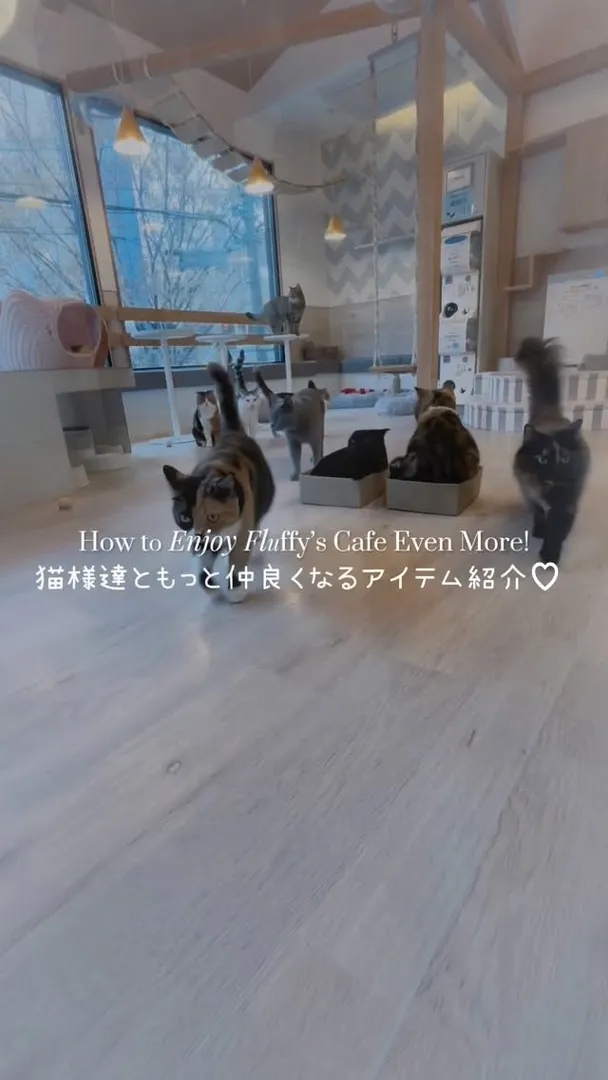 投稿の写真