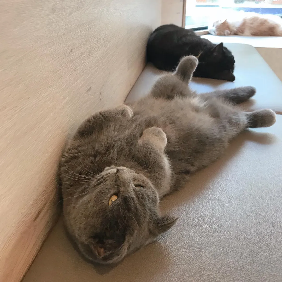 投稿の写真2