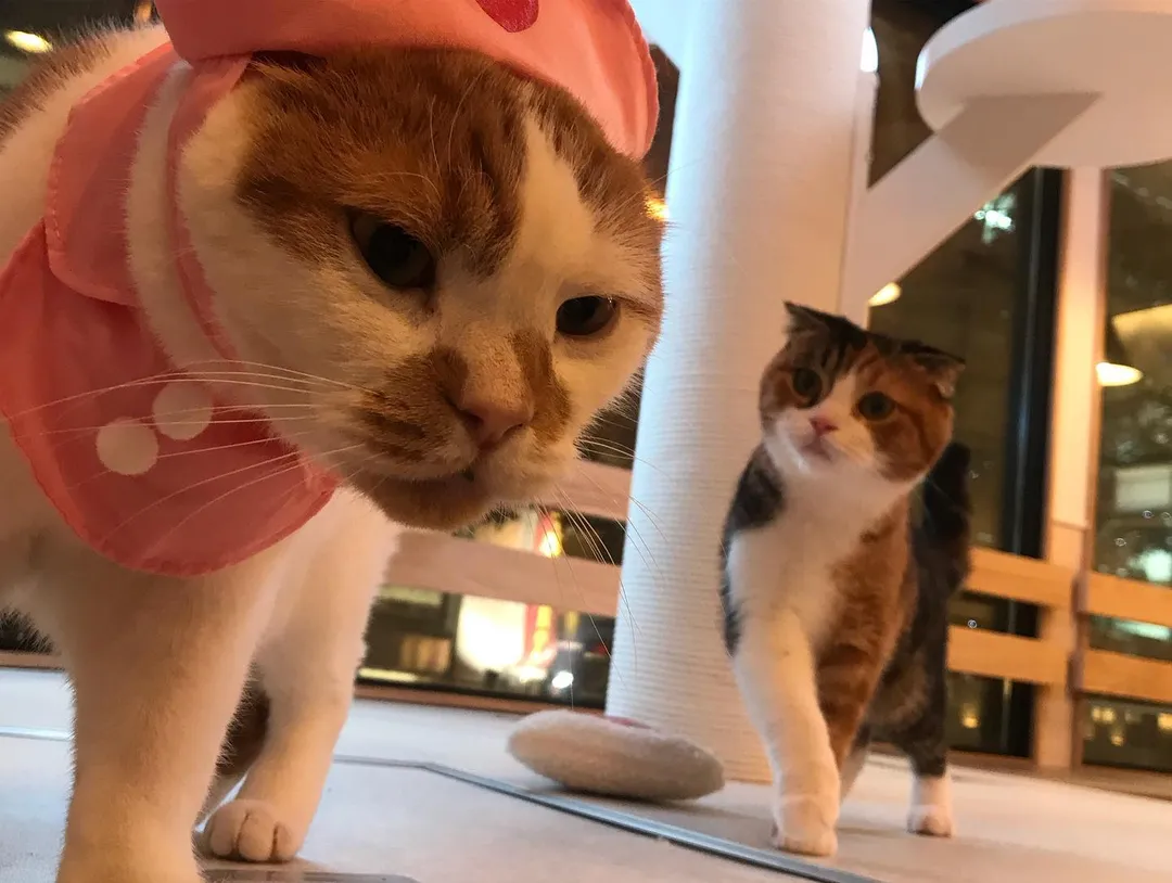 投稿の写真2