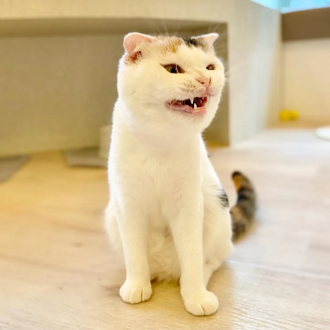 投稿の写真2