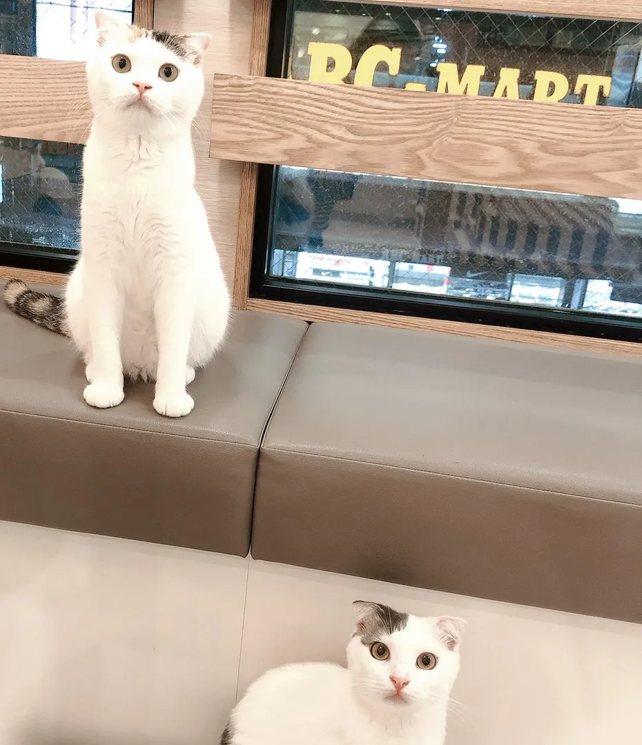 投稿の写真4