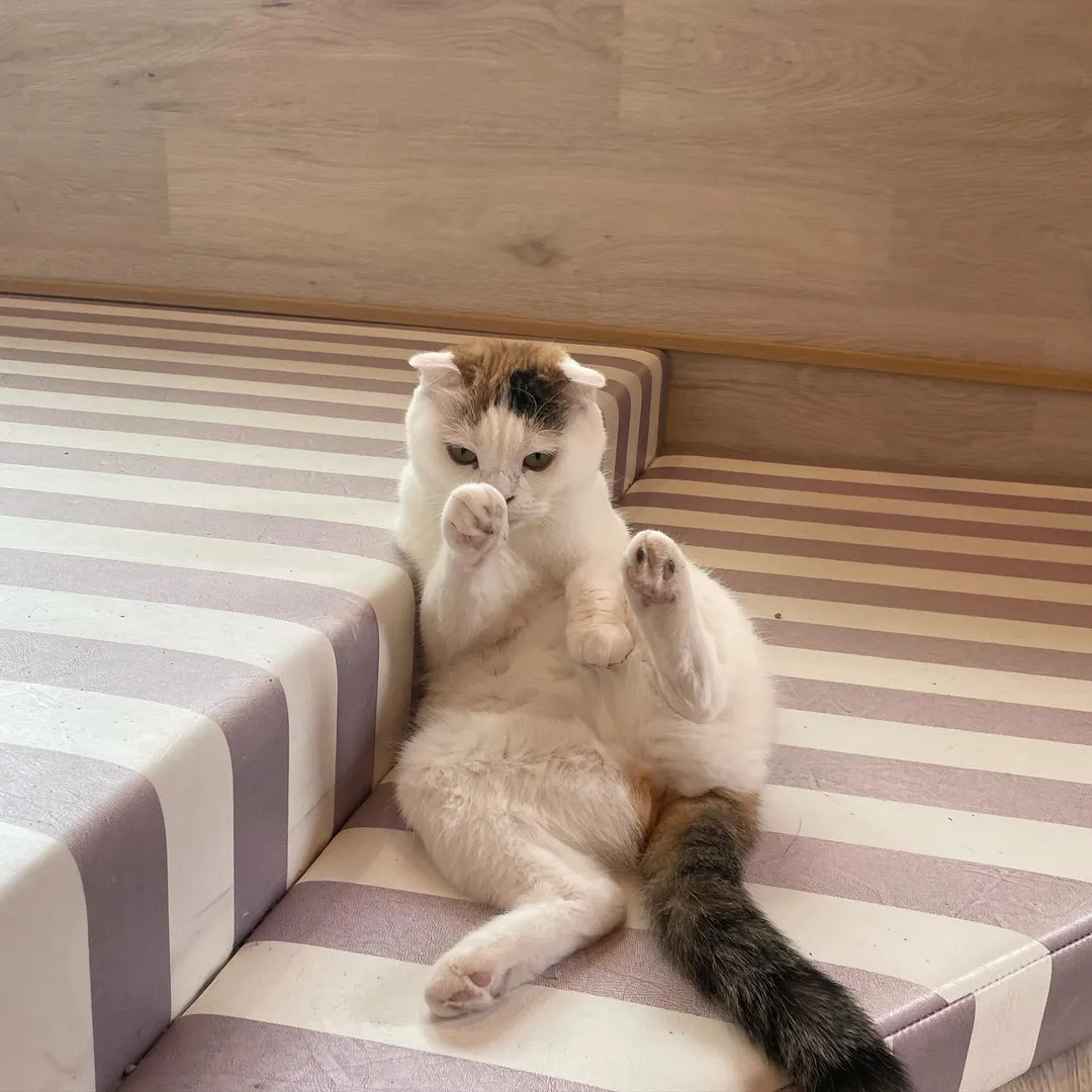 投稿の写真8