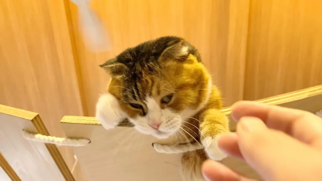 投稿の写真