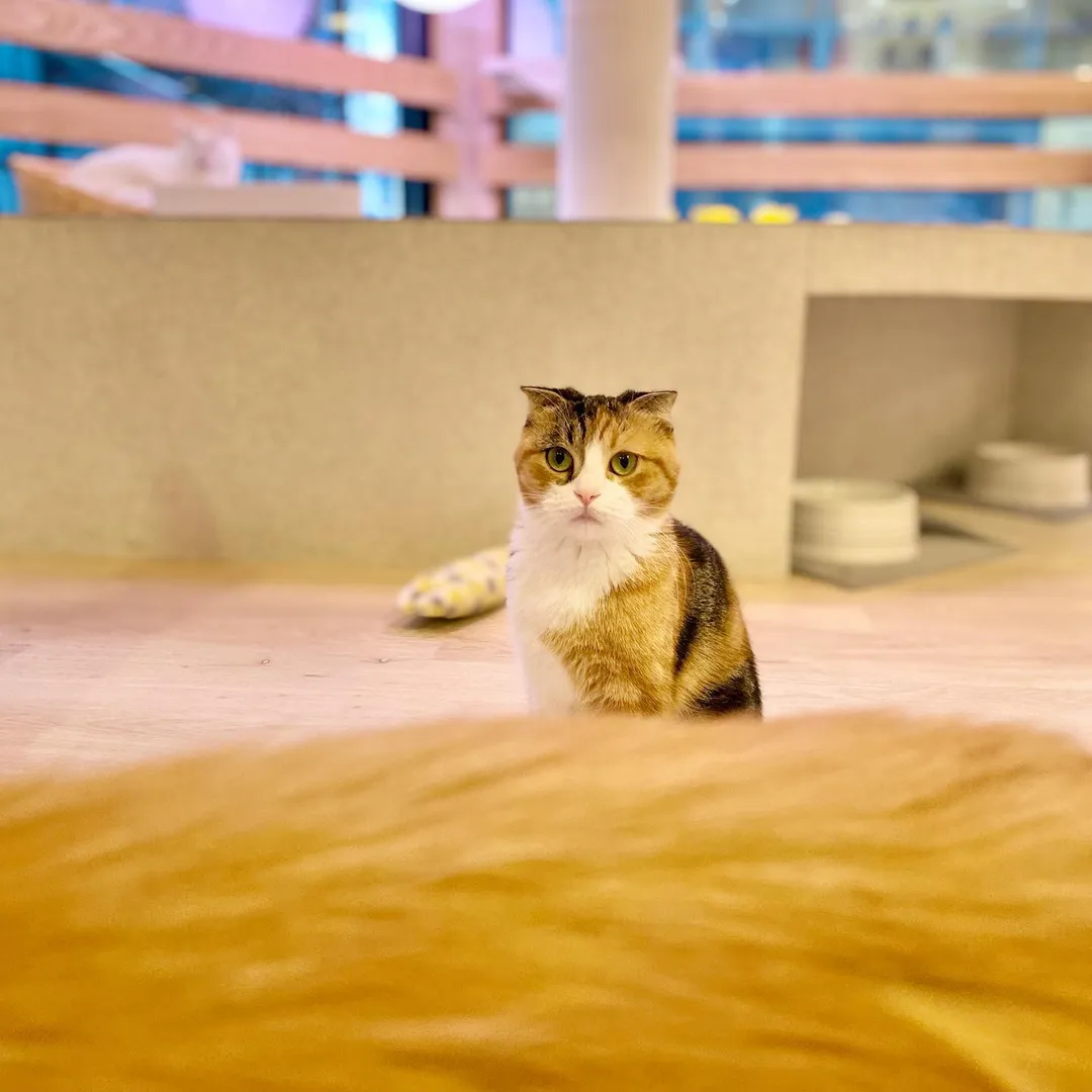 投稿の写真4