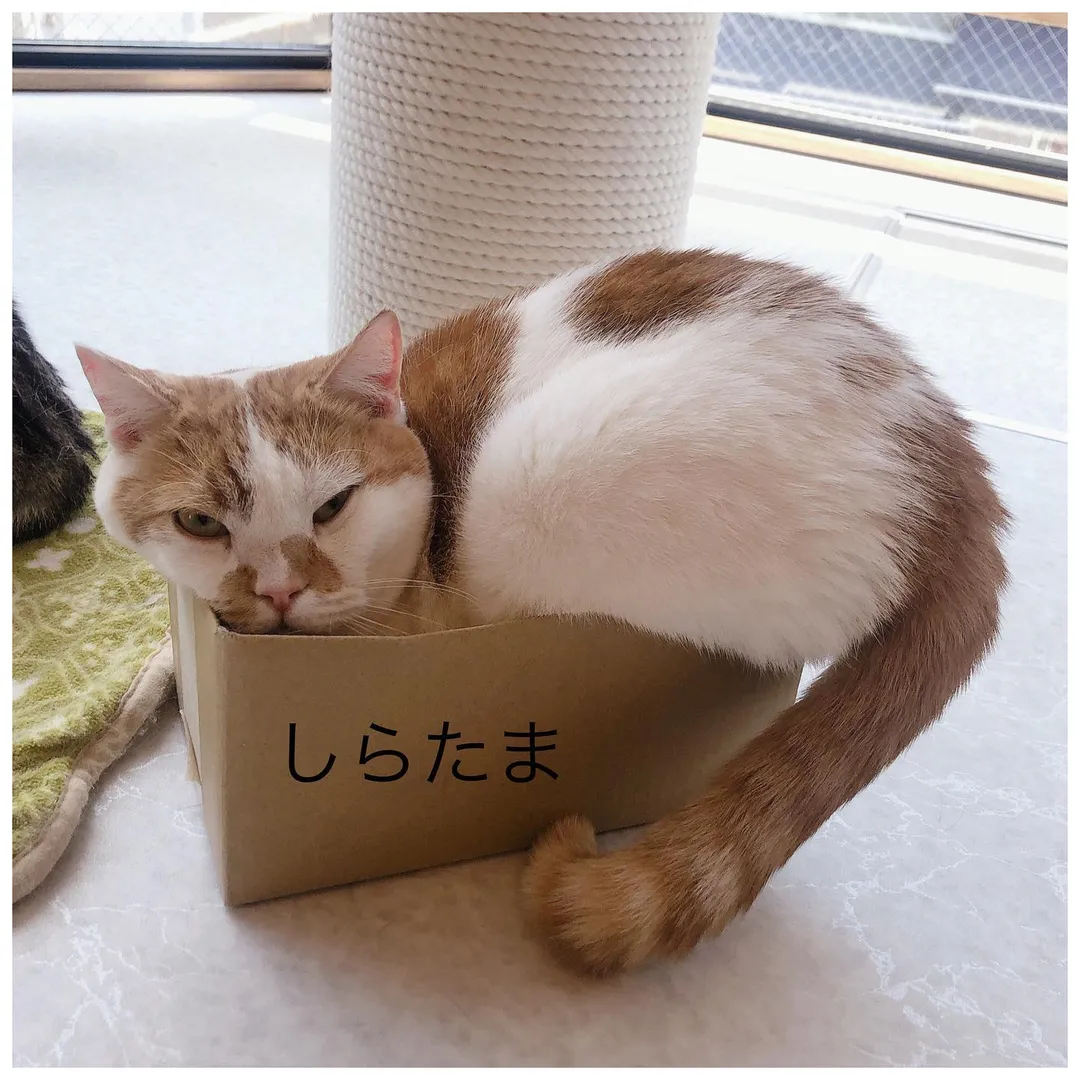 投稿の写真1