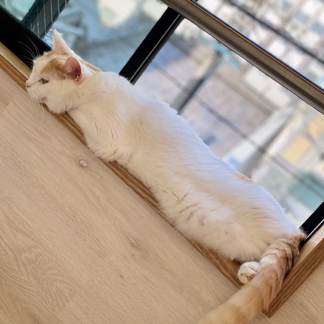 投稿の写真3