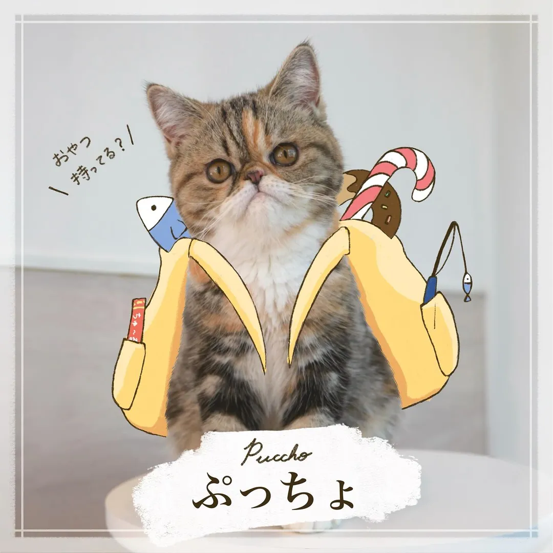 投稿の写真2