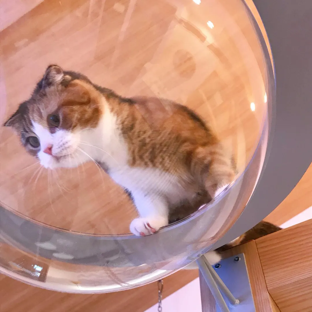投稿の写真2