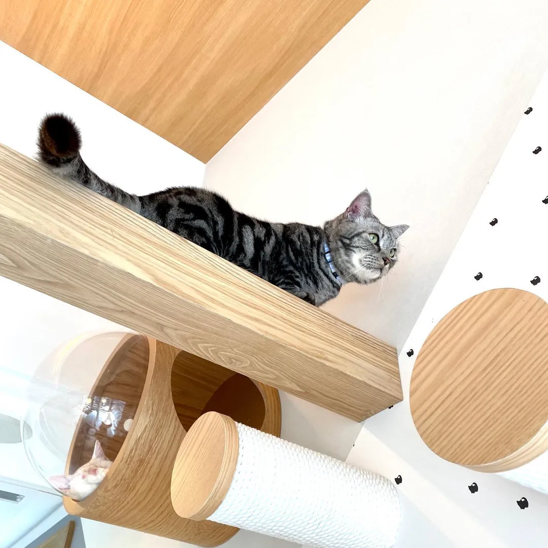 投稿の写真2