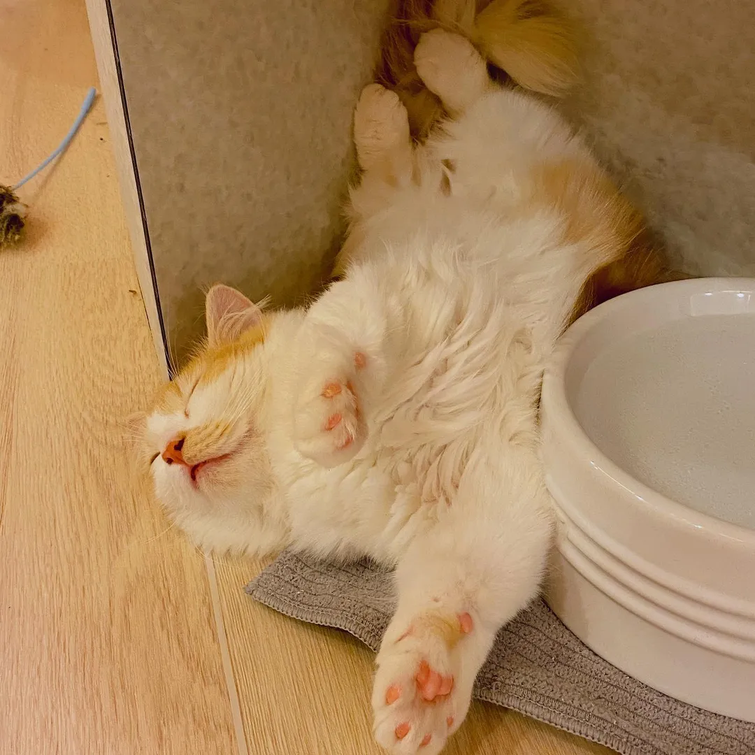 投稿の写真3
