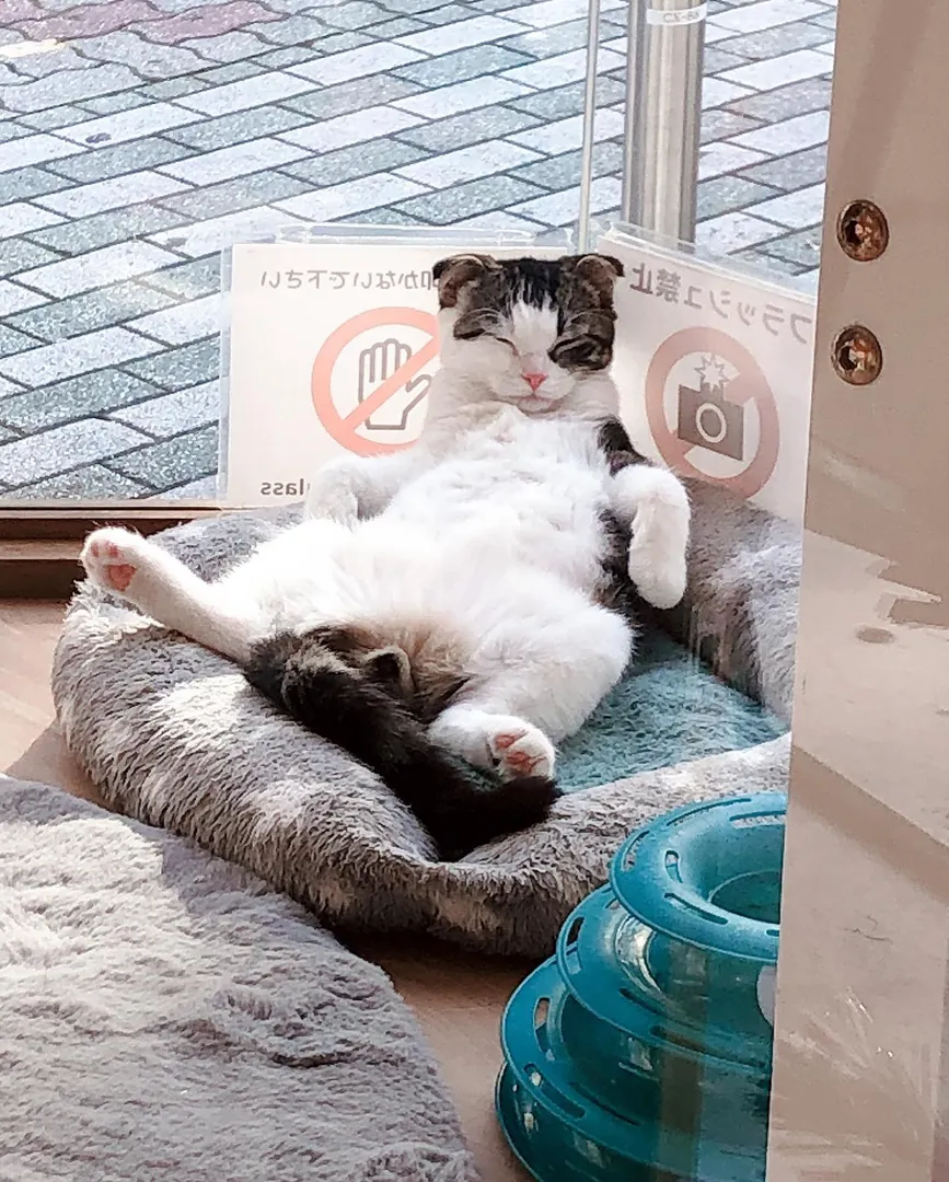 投稿の写真5