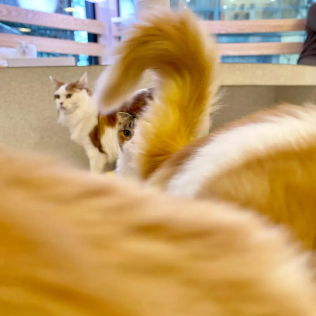 投稿の写真3