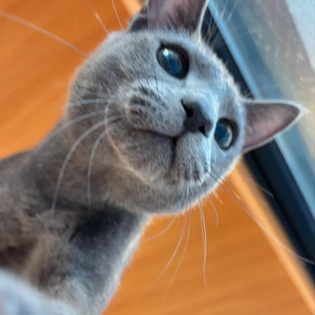 投稿の写真2