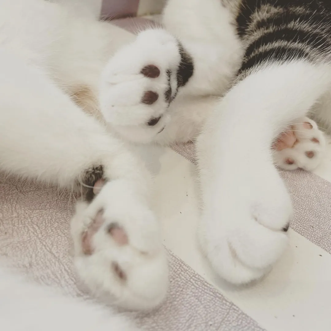 投稿の写真4