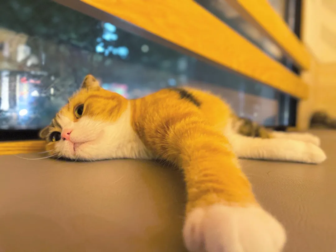 投稿の写真3